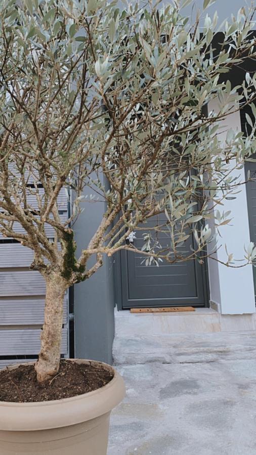 My Home Ιωάννινα Εξωτερικό φωτογραφία